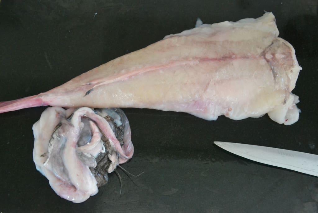 monkfish tail and skin