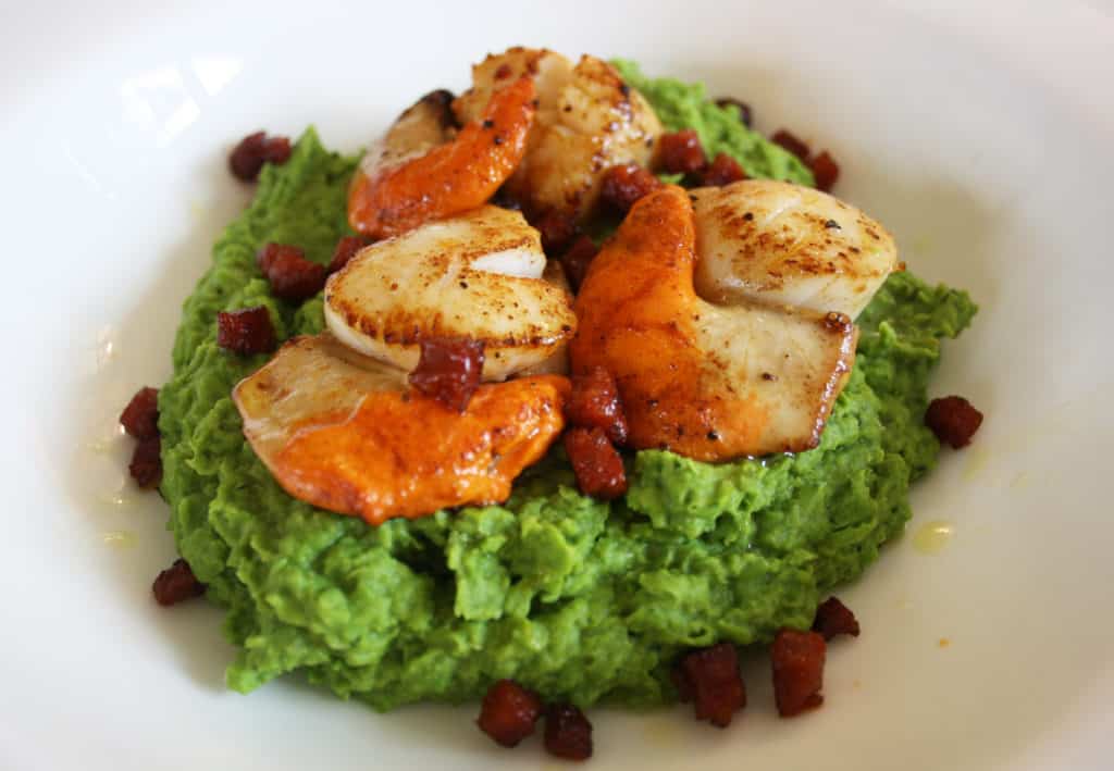 side view of Seared Scallops on Peas with Chorizo. 