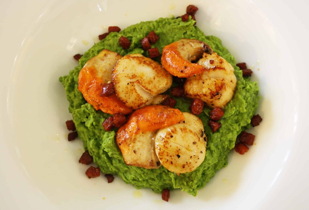 scallops on a mashed pea base 