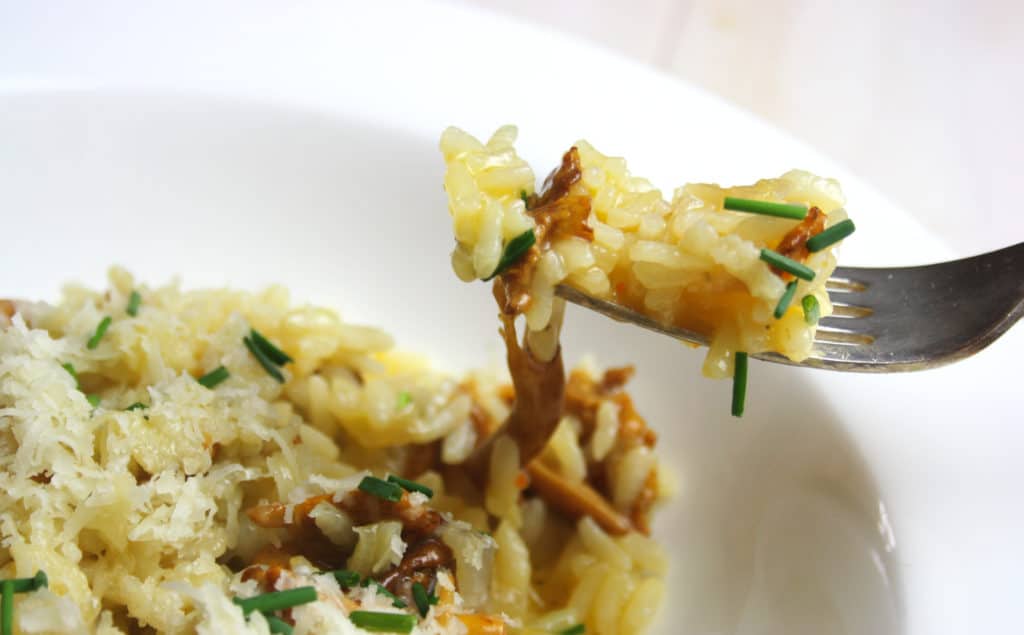 rice dish in a bowl with girolles.