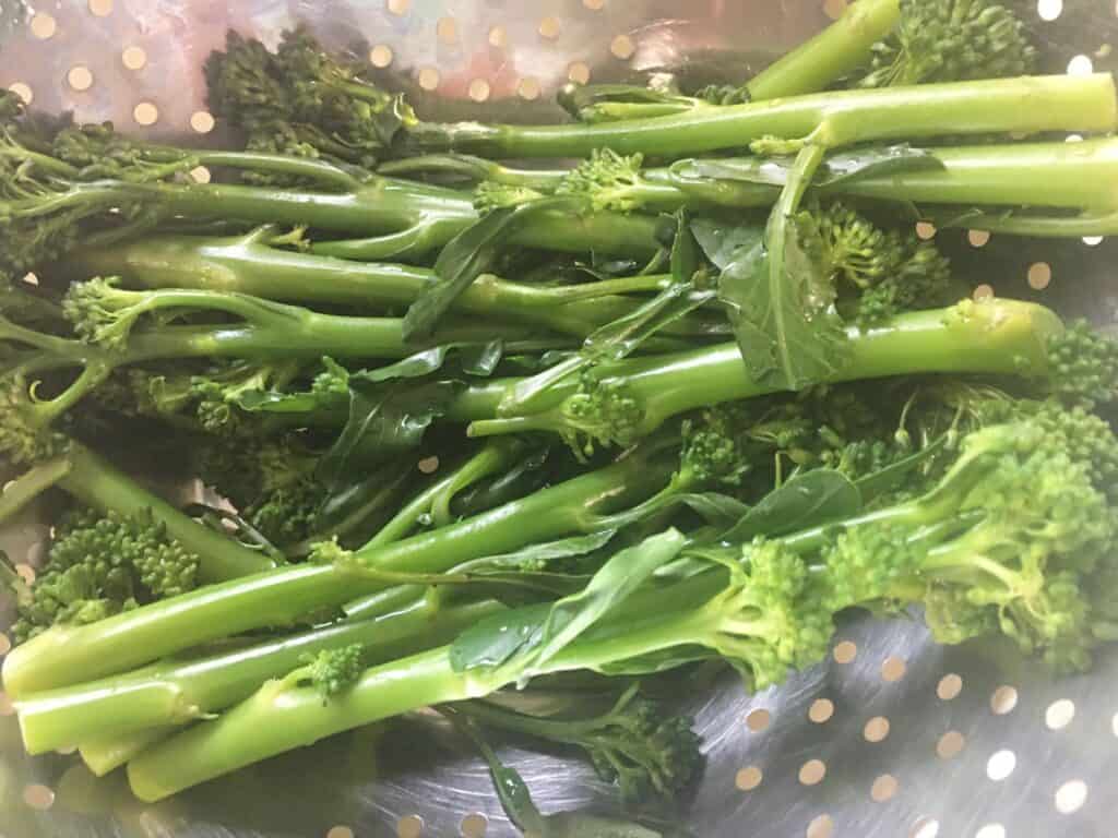 steamed broccoli in a colander