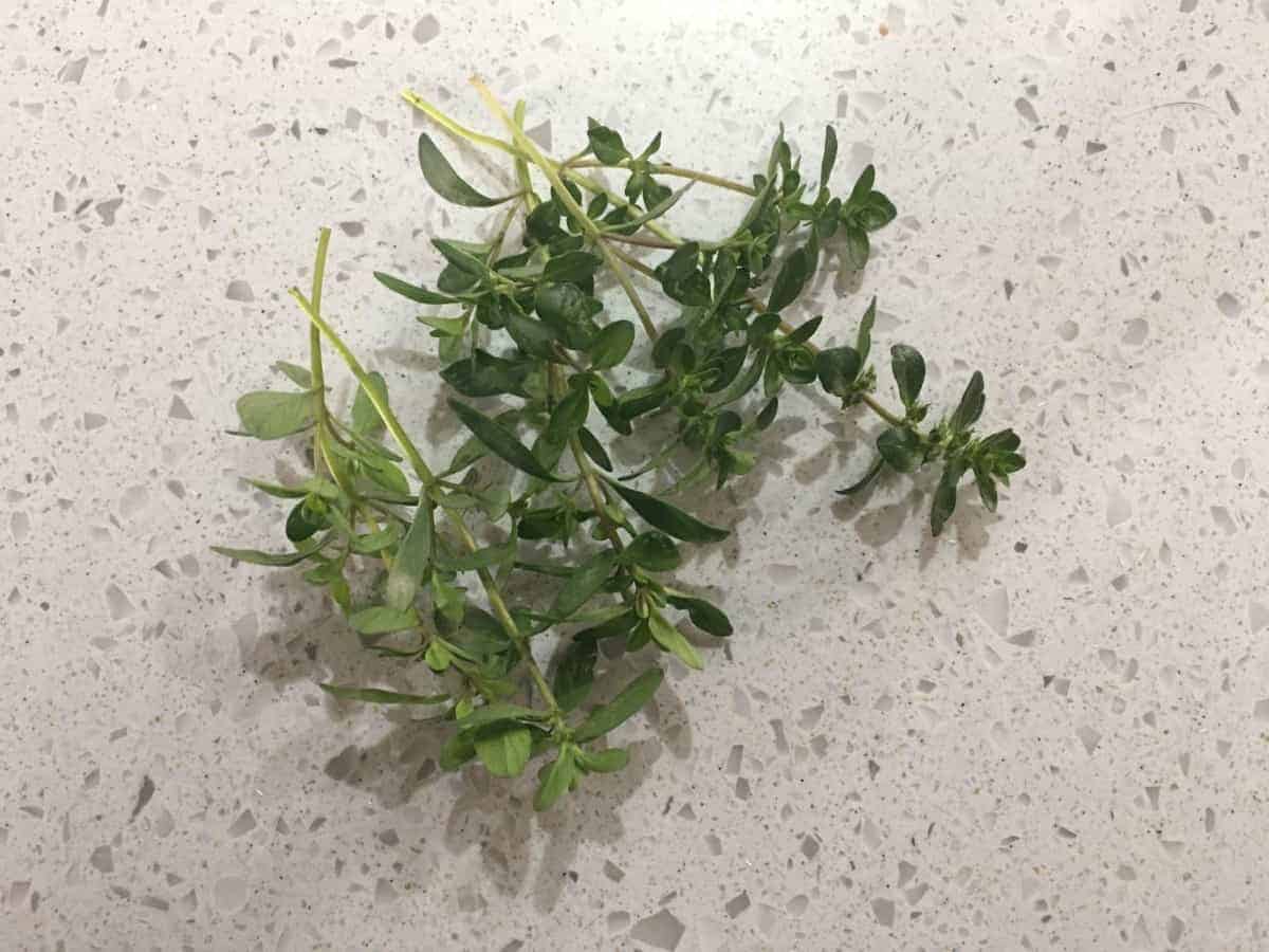 sprigs of fresh time on a worktop.