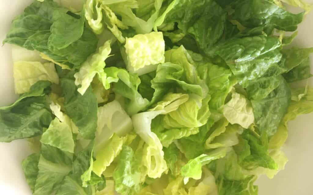 shredded lettuce 