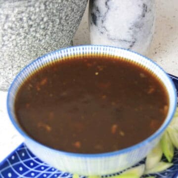 bowl of dark sauce on a plate with spring onions