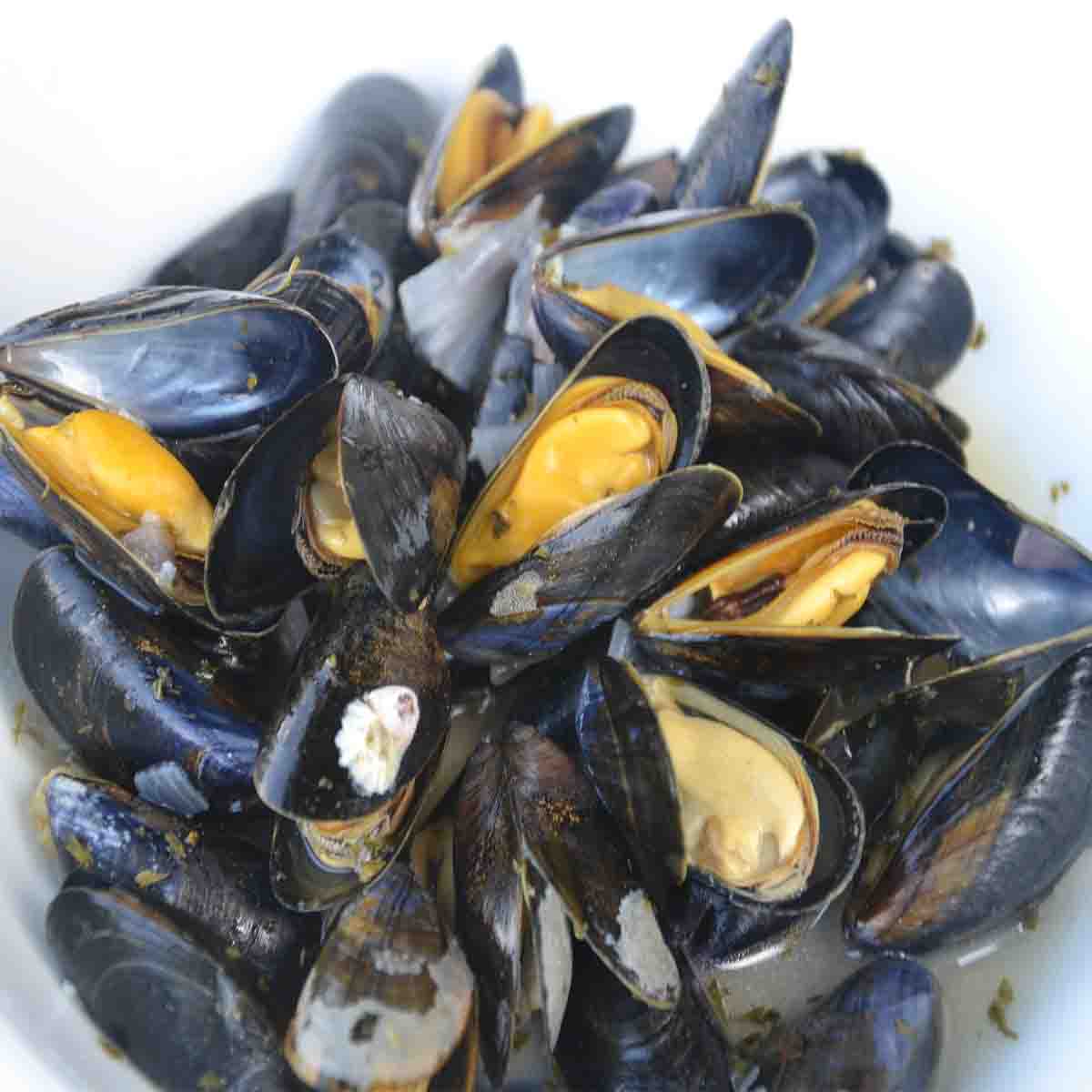 close up view of mussels in white wine.