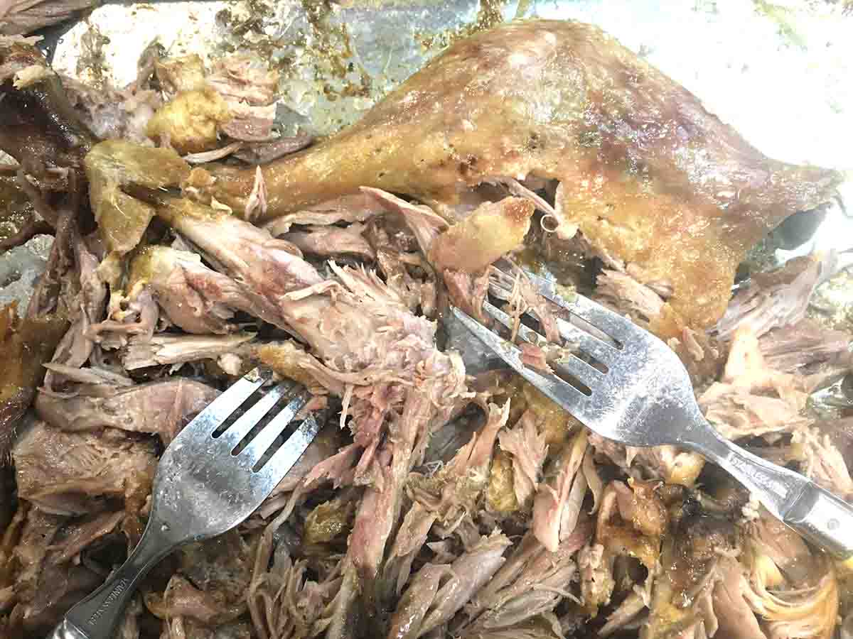 duck meat shredded with forks.