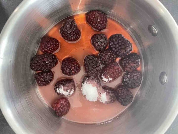 Pigeon Breast with Blackberry Sauce Chez Le Rêve Français