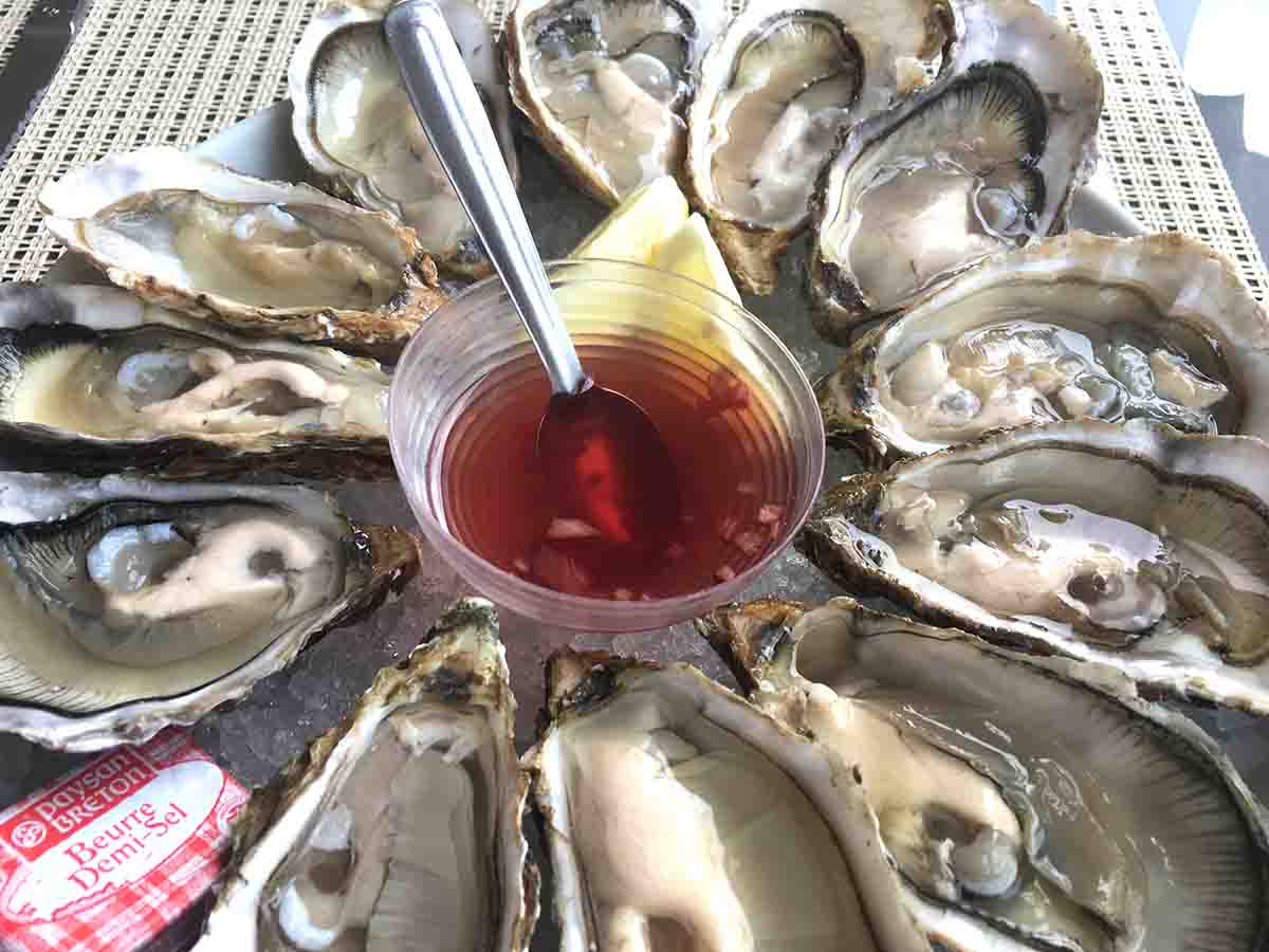 plate of open oysters arranged in a circle.