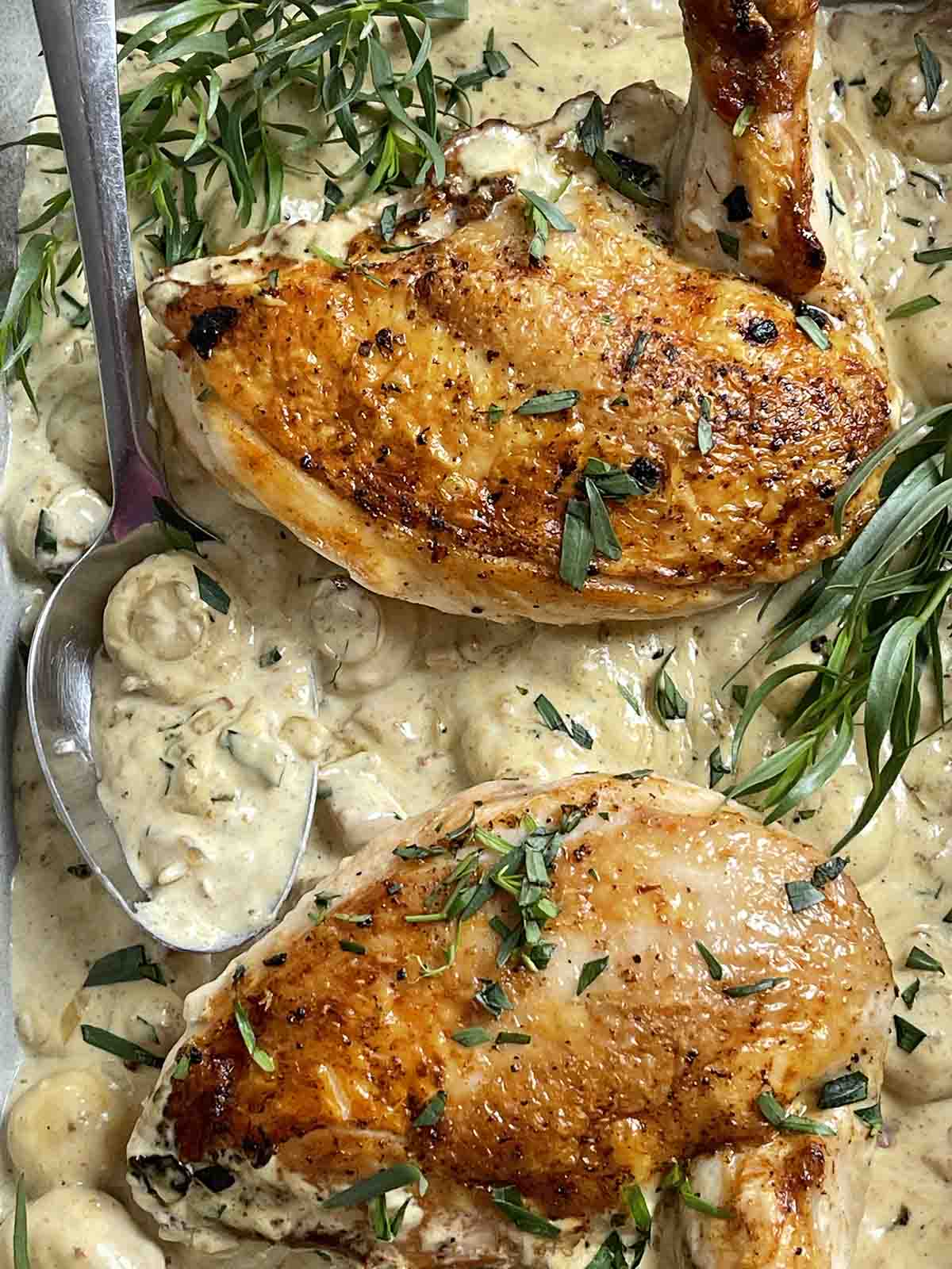 chicken breasts in supreme sauce.