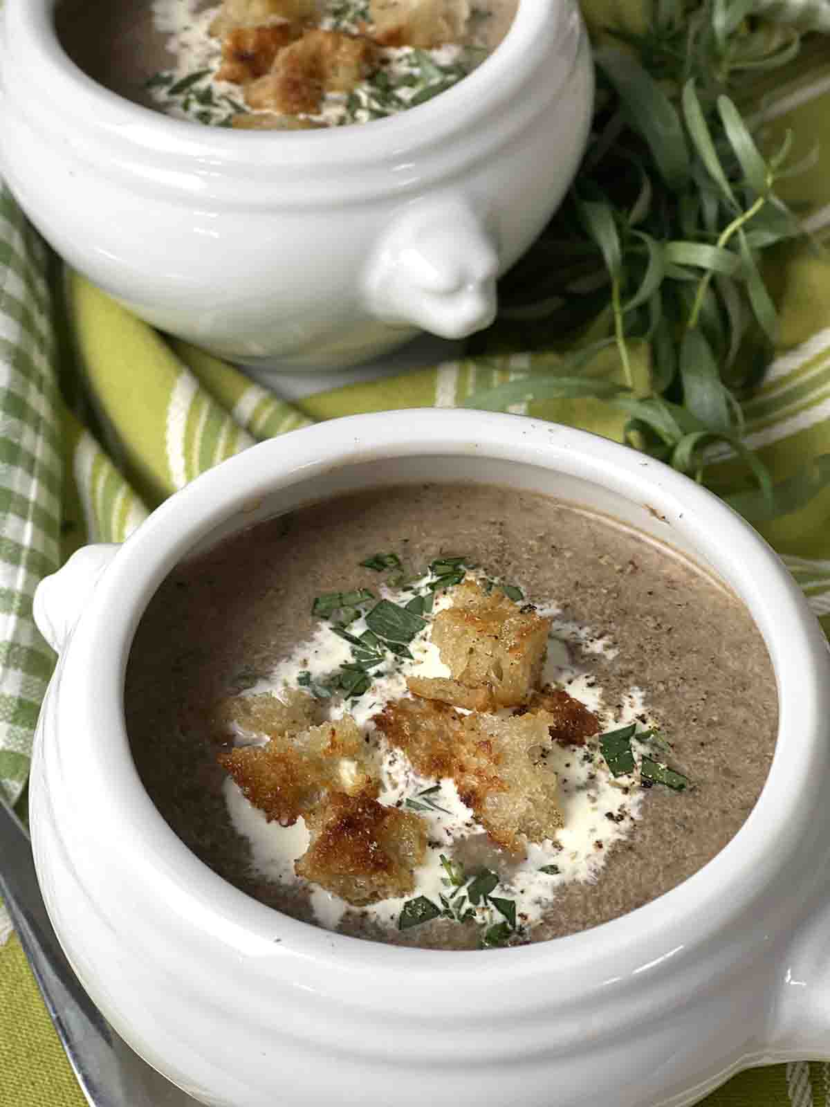 dairy free cream of mushroom soup .