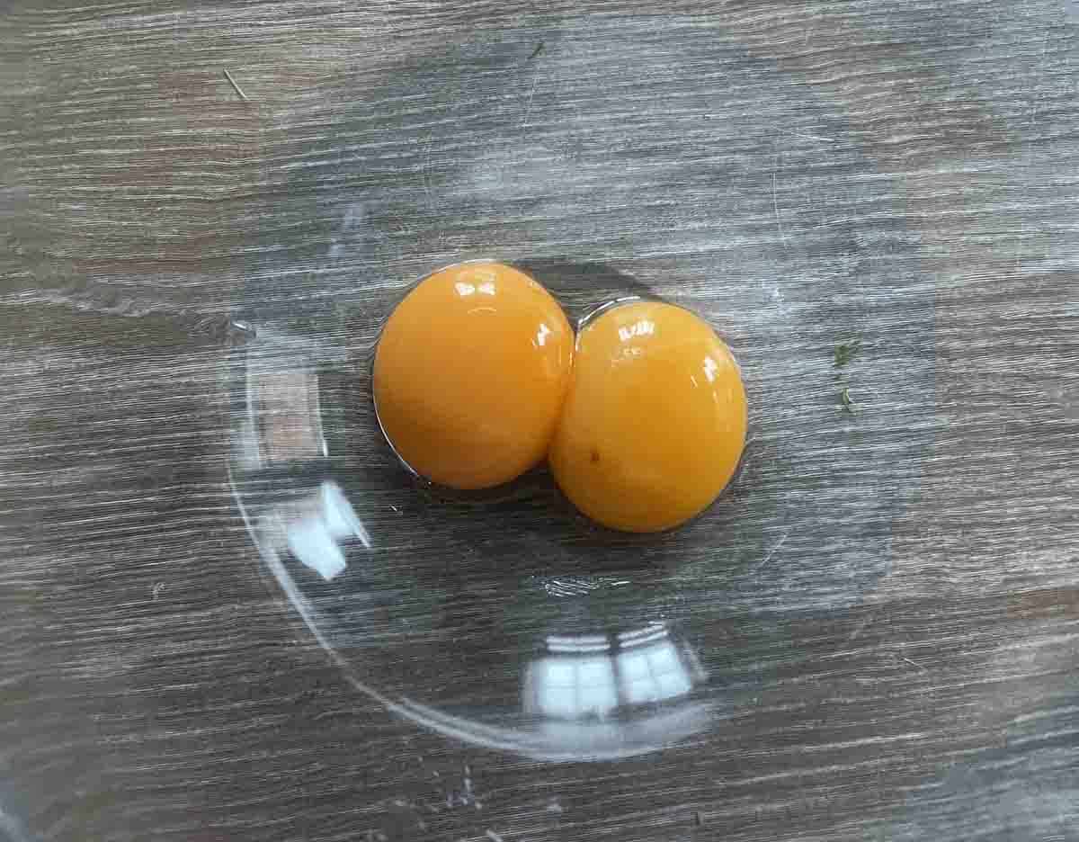 egg yolks in a bowl.