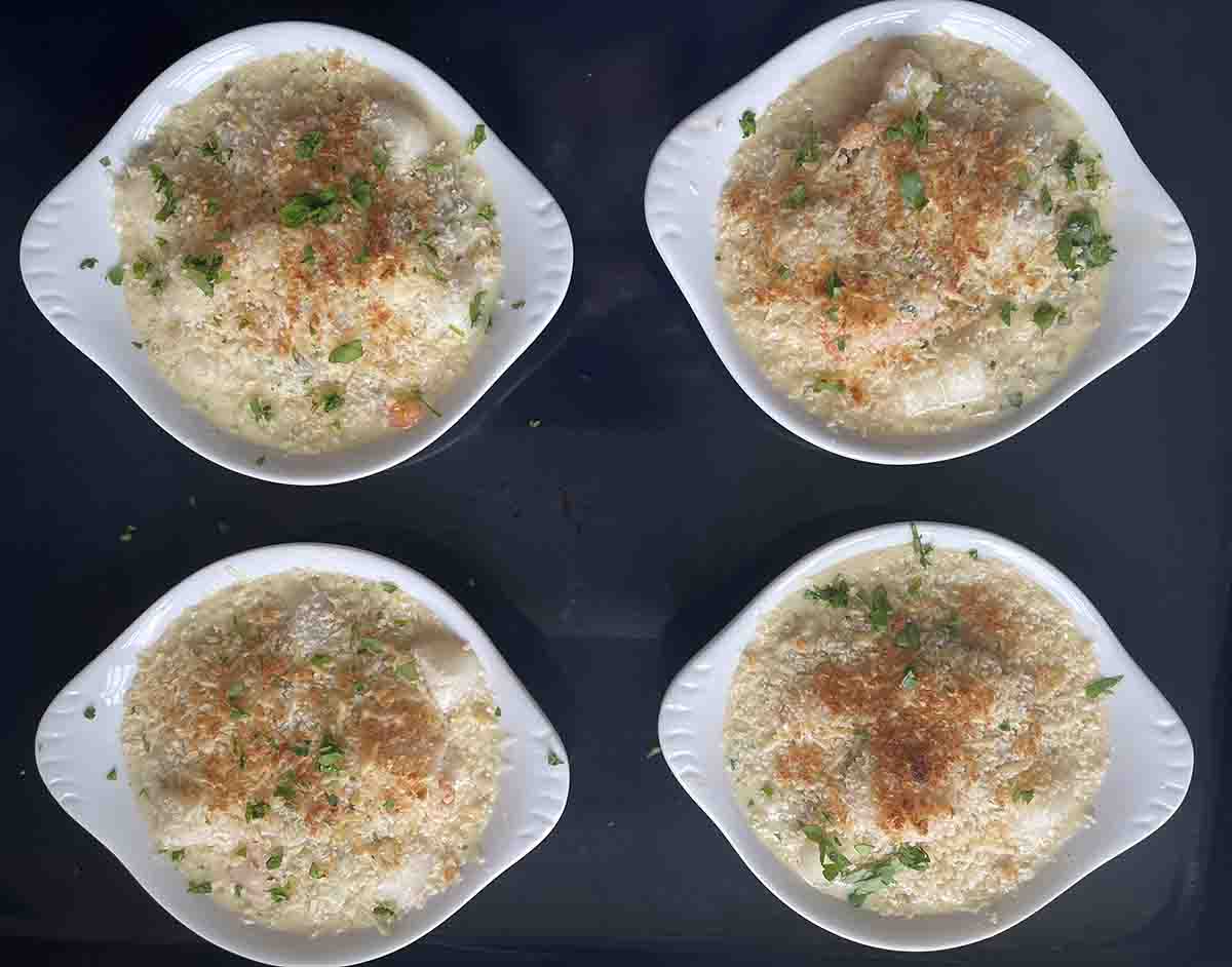 grilled coquilles sainte jacques.