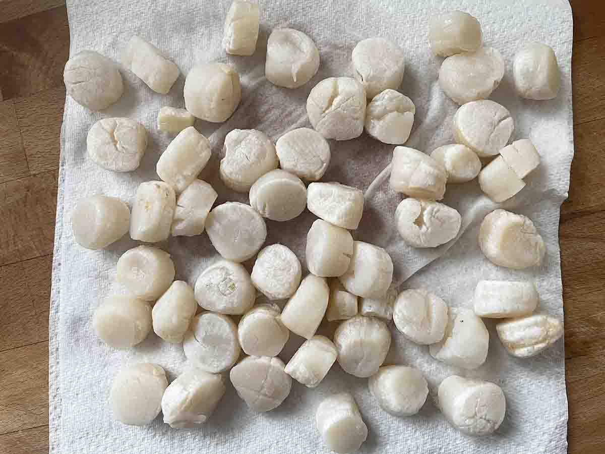 scallops on kitchen paper.