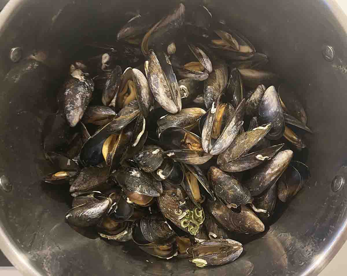 cooked mussels.