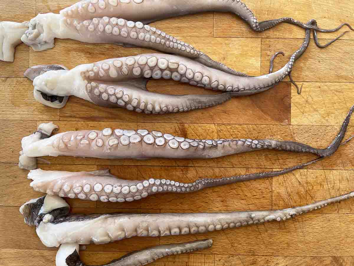 octopus tentacles cut into single pieces.