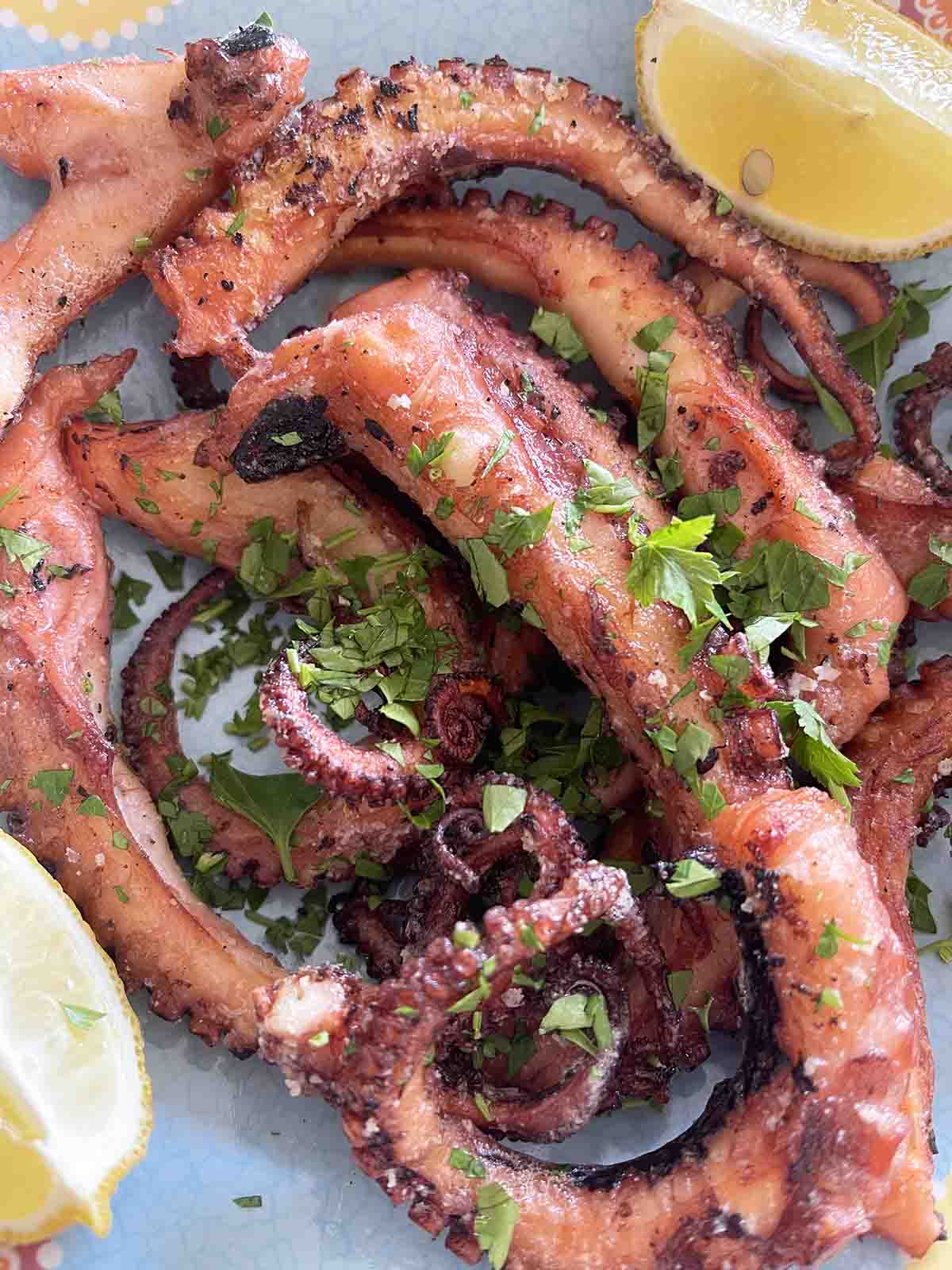 close up of crispy braised octopus.