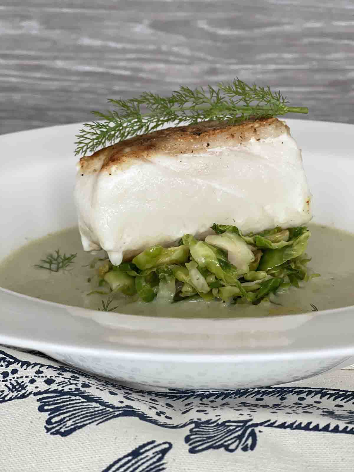 halibut on a bed of sprouts surrounded by veloute sauce.